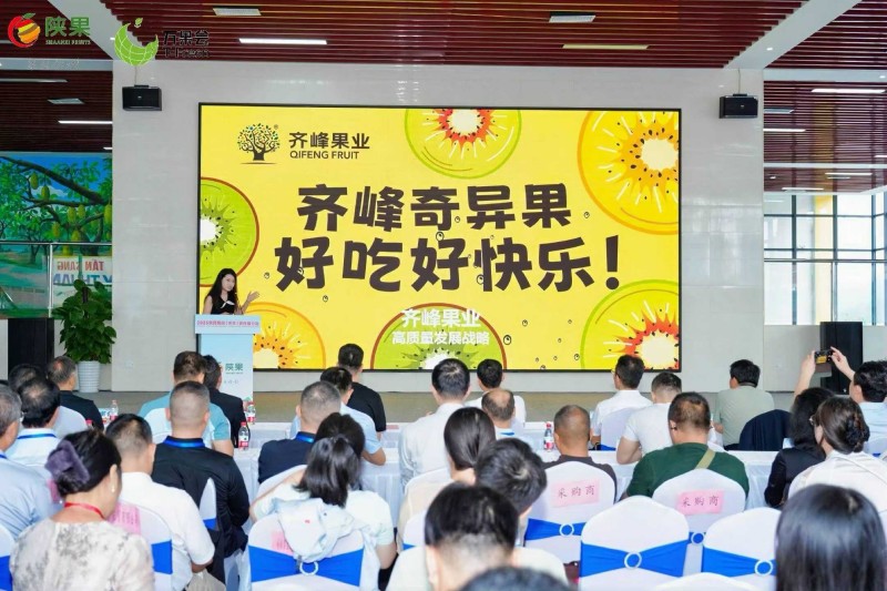 齐峰果业亮相2025陕西果品（凭祥）宣传推介会