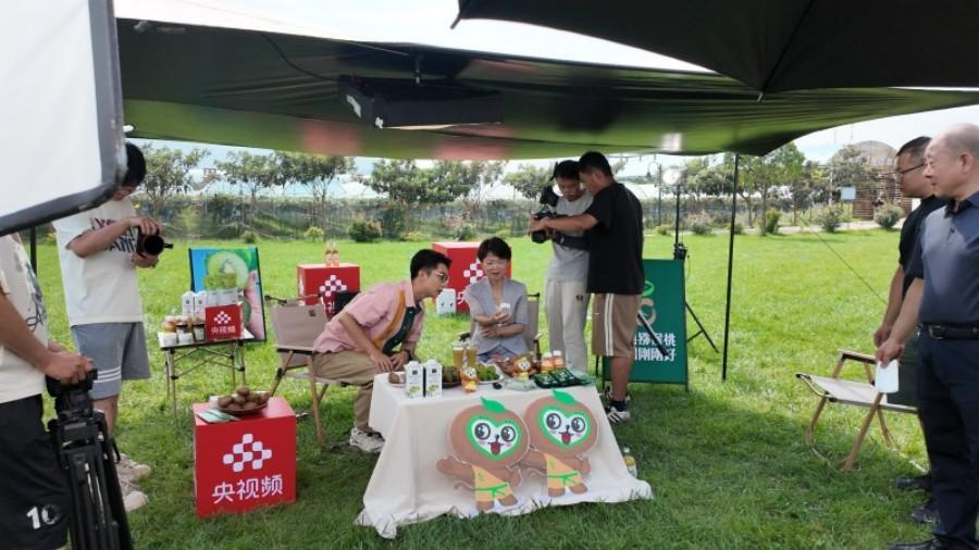 图片 1.png 图片 1.png