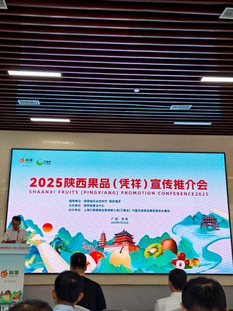 齐峰果业亮相2025陕西果品(凭祥)宣传推介会 齐峰果业亮相2025陕西果品(凭祥)宣传推介会