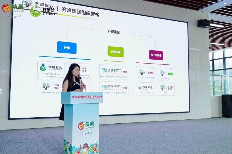 齐峰果业亮相2025陕西果品(凭祥)宣传推介会3 齐峰果业亮相2025陕西果品(凭祥)宣传推介会3