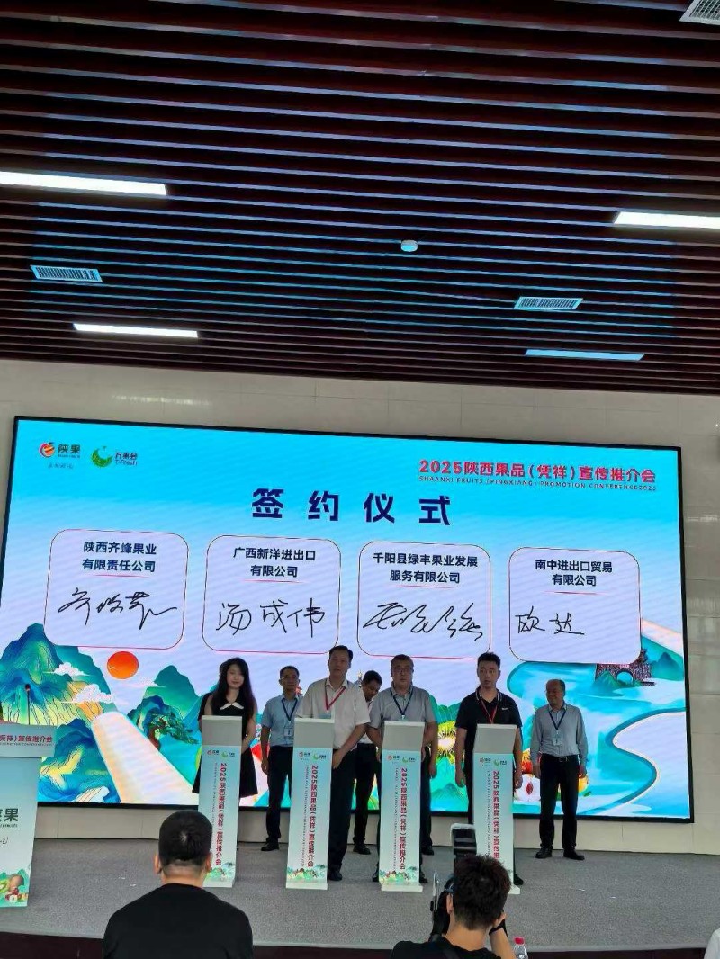 齐峰果业亮相2025陕西果品(凭祥)宣传推介会6 齐峰果业亮相2025陕西果品(凭祥)宣传推介会6