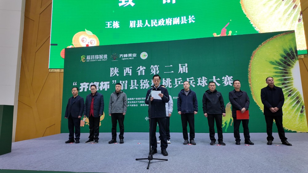 齐峰杯眉县猕猴桃乒乓球大赛2 齐峰杯眉县猕猴桃乒乓球大赛2