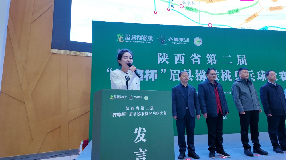 齐峰杯眉县猕猴桃乒乓球大赛3 齐峰杯眉县猕猴桃乒乓球大赛3